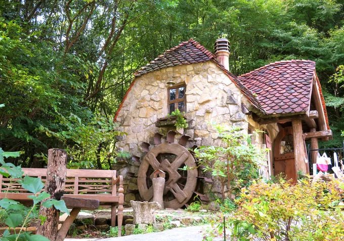 🏡 온기의 숲 (누쿠모리노모리) 이미지 1